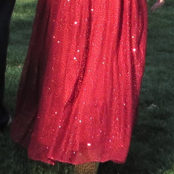 Red Sparkling Formal Dress by ML Monique Lhuillier - Picture 16 of 16